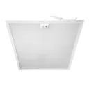 ORACLE-IZY_PHOTO2.webp