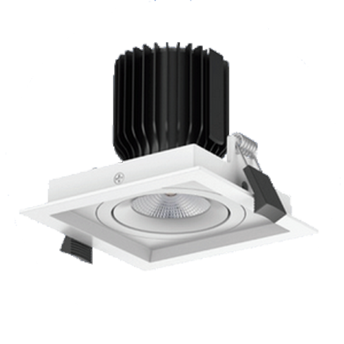 DOWNLIGHTS_ACCESS CADRE REGOR I