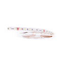 STRIPLED SIRAH-SIRAH+ 19W/M RGBW IP20