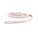 STRIPLED SIRAH-SIRAH+ 14W/M RGB IP65